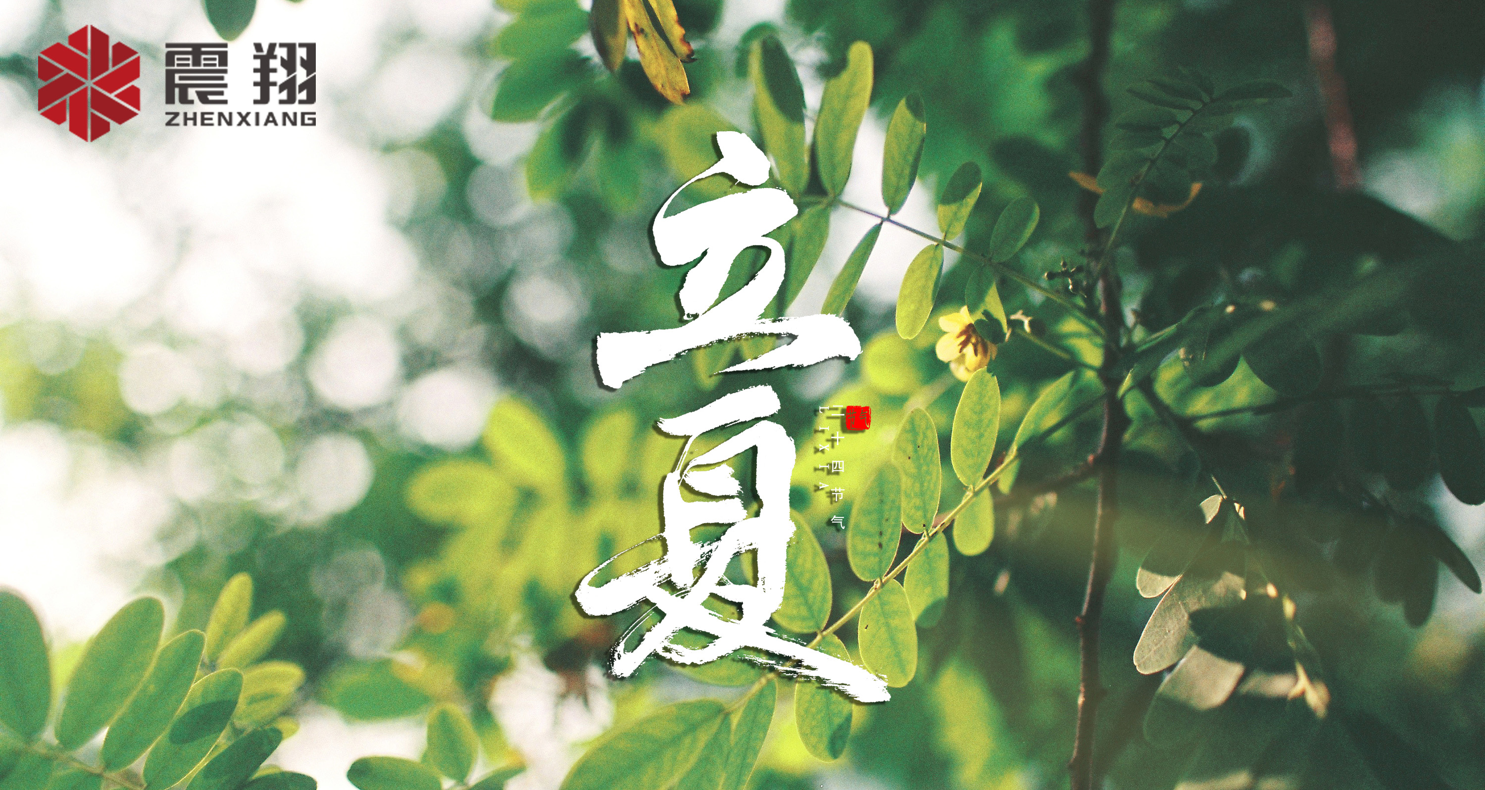 【立夏】春去春來不曾留意，夏日當(dāng)歸，撲面而來